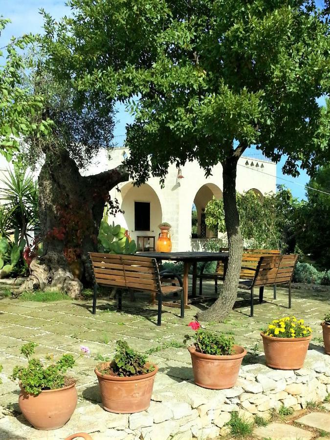 Trulli Fogliarella Guest House ออสตูนี ภายนอก รูปภาพ